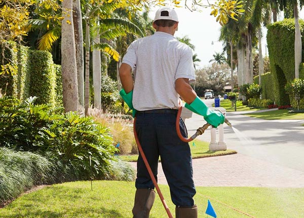 About Morganton GA Pest Control Pros